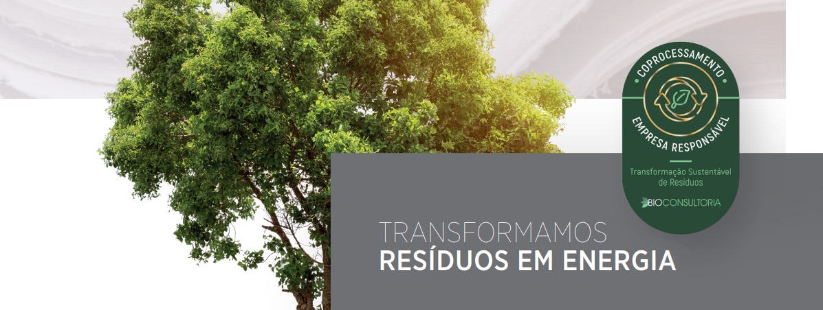 Coprocessamento